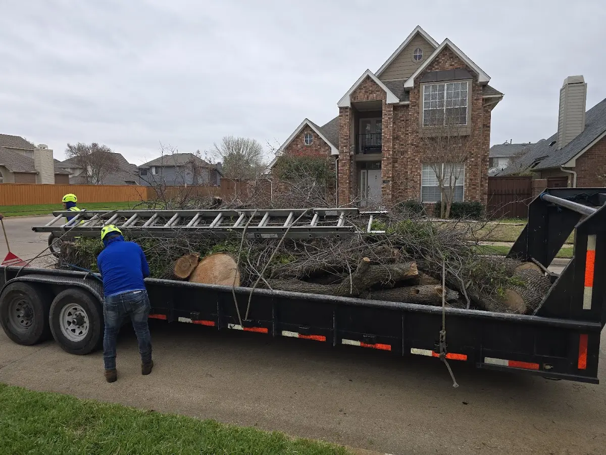 Expert Tree Fertilization with proper safety equipment in Staples